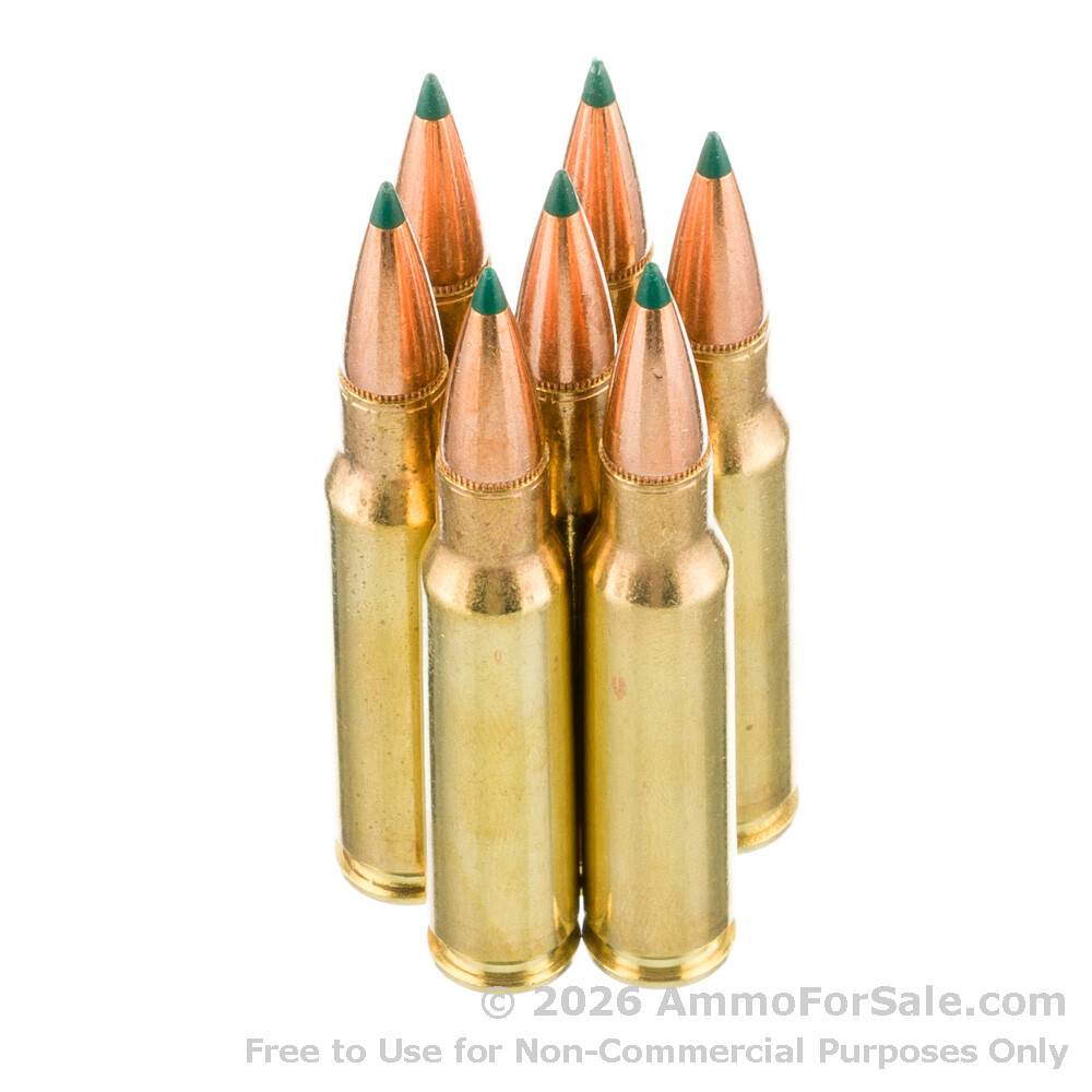 Rip Rounds 308 20 Rounds of Discount 180gr Polymer Tipped .308 Win Ammo For Sale by ...