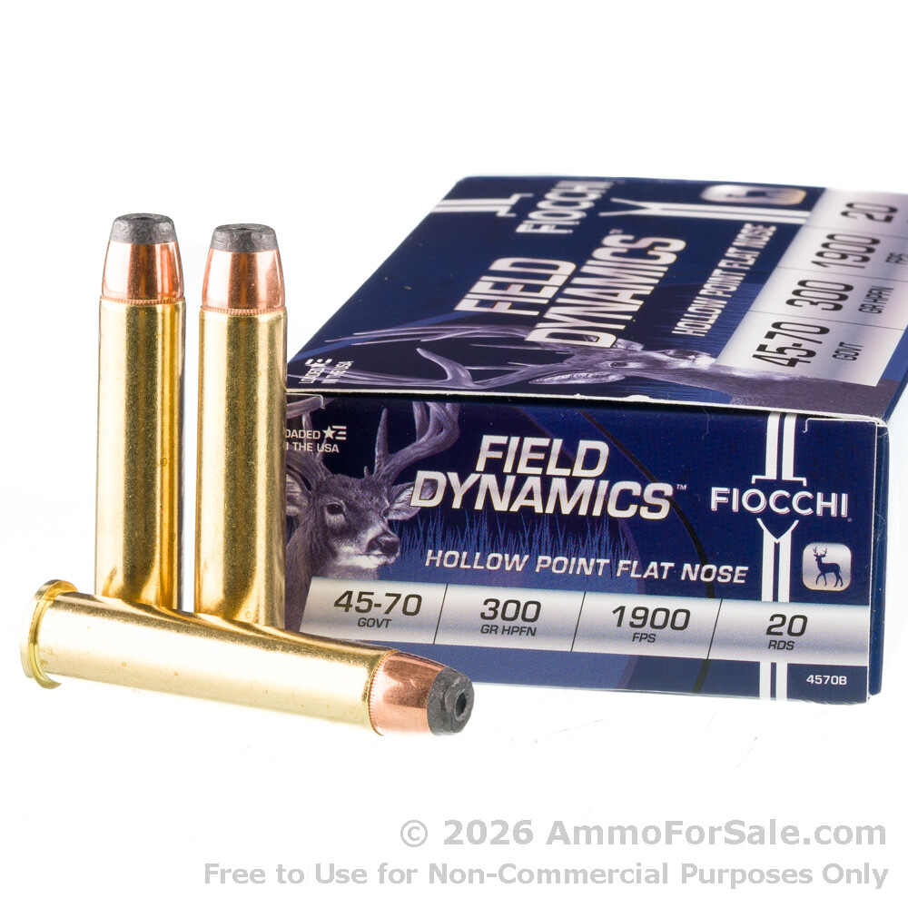 20 Rounds of Discount 300gr HPFN .45-70 Government Ammo For Sale by Fiocchi