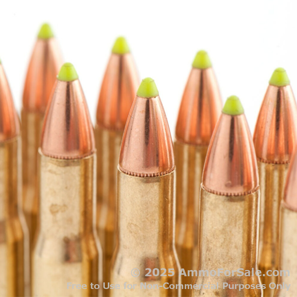 20 Rounds of Discount 160gr Z-Max 30-30 Win Ammo For Sale by Hornady