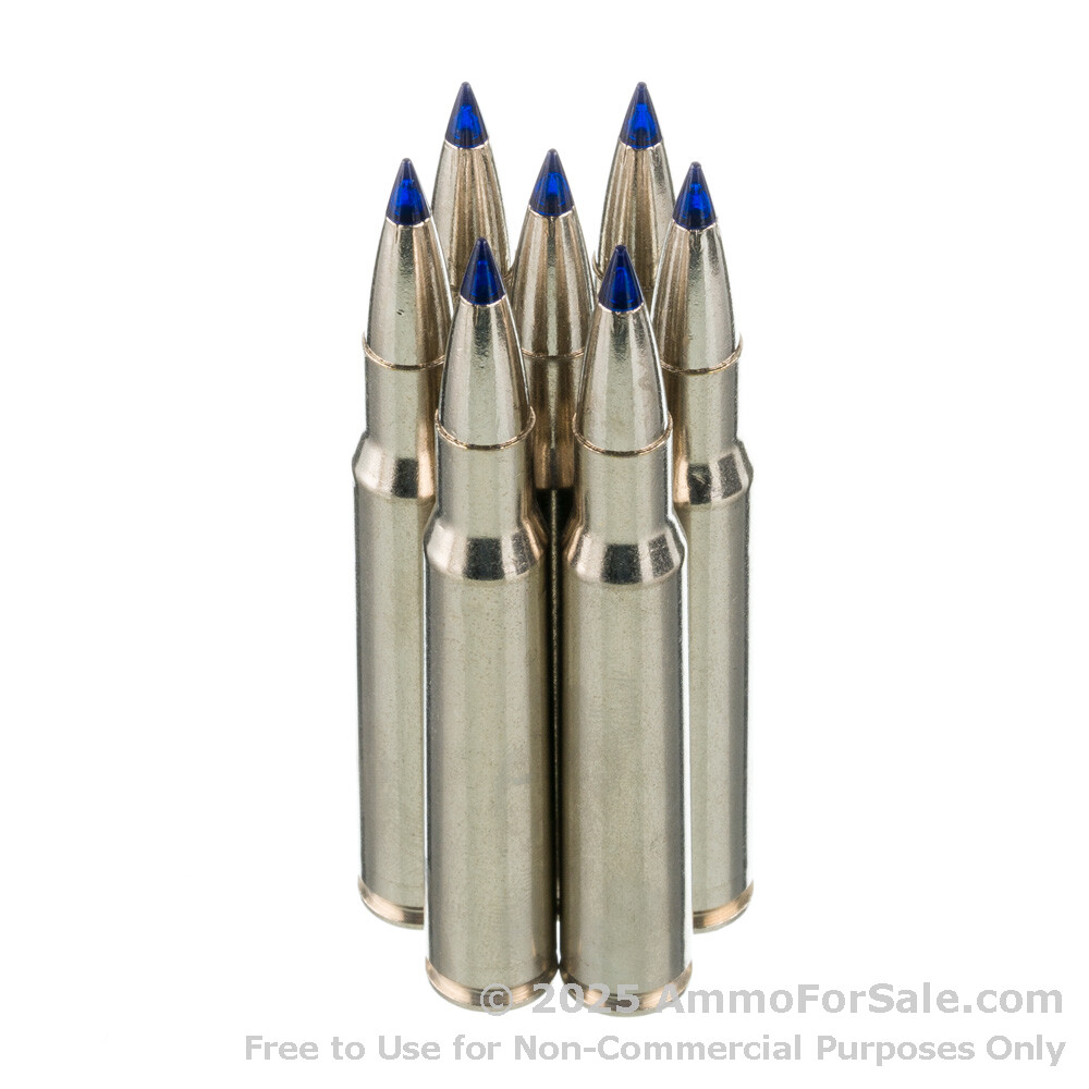 20 Rounds of Discount 175gr Terminal Ascent 30-06 Springfield Ammo For ...