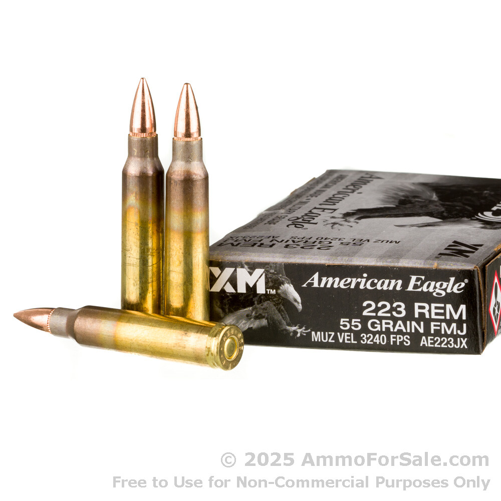 20 Rounds Of 55gr Fmjbt 223 Ammo For Sale By Federal