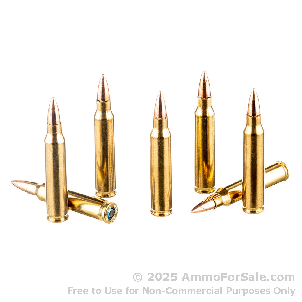 20 Rds 55gr Fmjbt 223 Ammo Federal American Eagle Military