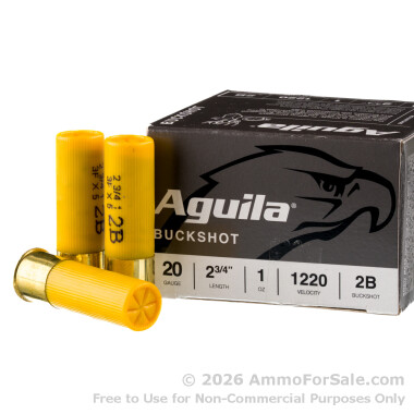 250 Rounds of #2 Buck 20ga Ammo by Aguila