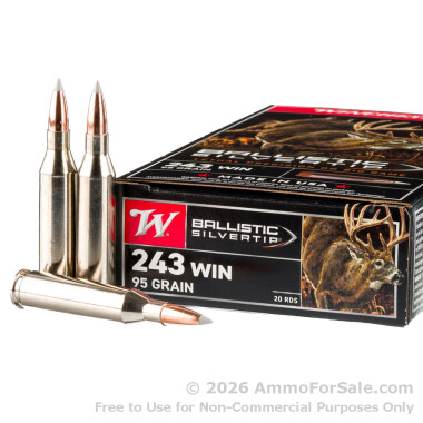 20 Rounds of 95gr Polymer Tipped .243 Win Ammo by Winchester Ballistic Silvertip