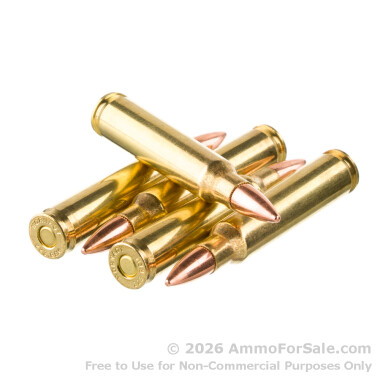 200 Rounds of 55gr FMJ .223 Ammo by Hornady