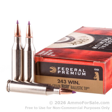 20 Rounds of 55gr Ballistic Tip .243 Win Ammo by Federal