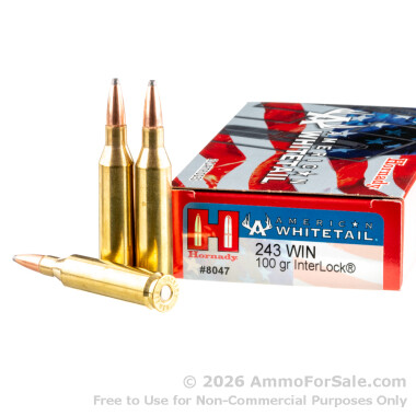 200 Rounds of 100gr InterLock .243 Win Ammo by Hornady