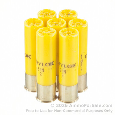 25 Rounds of 1 ounce #2 steel shot 20ga Ammo by Winchester