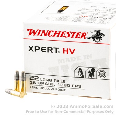 500  Rounds of 36gr LHP .22 LR Ammo by Winchester
