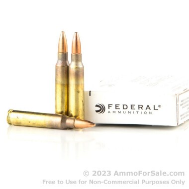 20 Rounds of 55gr FMJBT 5.56x45 Ammo by Federal
