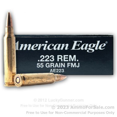 20 Rounds of 55gr FMJBT .223 Ammo by Federal Am. Eagle