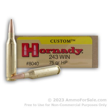 20 Rounds of 75gr HP .243 Win Ammo by Hornady