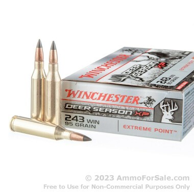 20 Rounds of 95gr Polymer Tipped .243 Win Ammo by Winchester