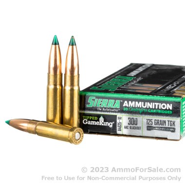 20 Rounds of 125gr GameChanger .300 AAC Blackout Ammo by Sierra