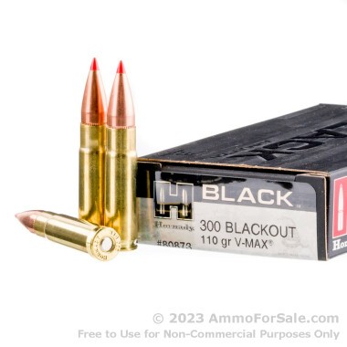 20 Rounds of 110gr V-MAX .300 AAC Blackout Ammo by Hornady