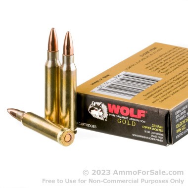 20 Rounds of 55gr FMJ .223 Ammo by Wolf Gold