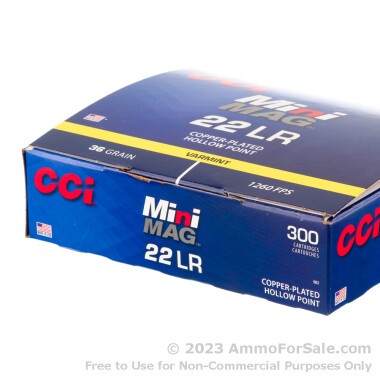 300 Rounds of 36gr CPHP .22 LR Ammo by CCI Mini-Mag