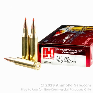 20 Rounds of 75gr V-MAX .243 Win Ammo by Hornady