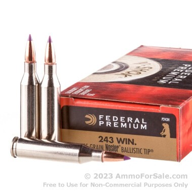 20 Rounds of 55gr Ballistic Tip .243 Win Ammo by Federal