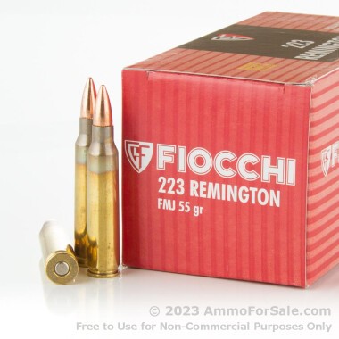 50 Rounds of 55gr FMJ .223 Ammo by Fiocchi
