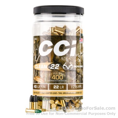 400 Rounds of 40gr LRN .22 LR Ammo by CCI