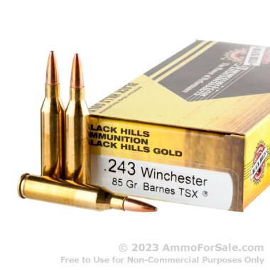 20 Rounds of 85gr TSX .243 Win Ammo by Black Hills Gold Ammunition