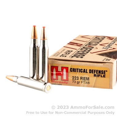 200 Rounds of 73gr FTX 223 Rem Ammo by Hornady