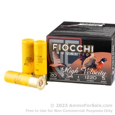 25 Rounds of 1 ounce #5 shot 20ga Ammo by Fiocchi