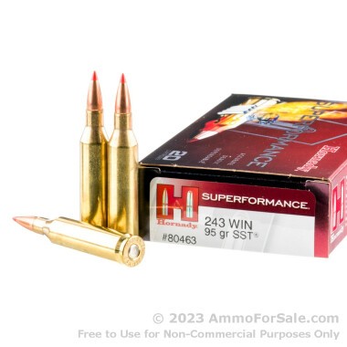 20 Rounds of 95gr SST .243 Win Ammo by Hornady