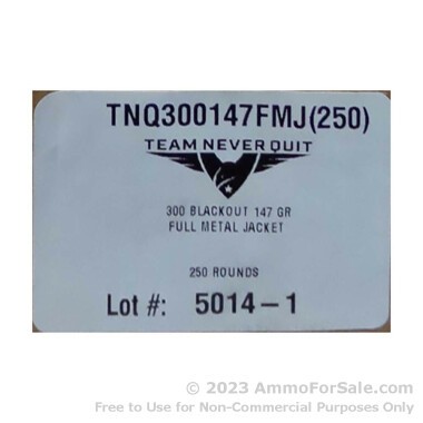 250 Rounds of 147gr FMJ .300 AAC Blackout Ammo by Team Never Quit