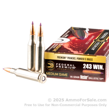 20 Rounds of 95gr Nosler Ballistic Tip .243 Win Ammo by Federal Vital-Shok