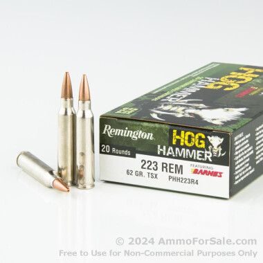 20 Rounds of 62gr TSX .223 Ammo by Remington