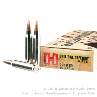 20 Rounds of 55gr FTX .223 Ammo by Hornady