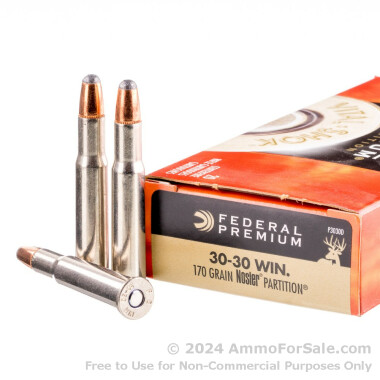 20 Rounds of 170gr Partition 30-30 Win Ammo by Federal