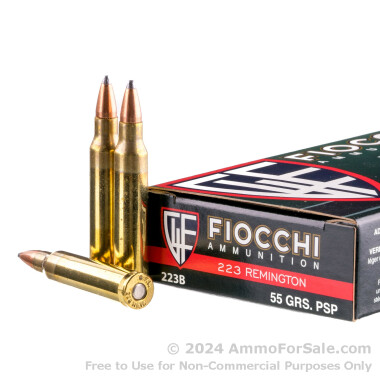 20 Rounds of 55gr PSP .223 Ammo by Fiocchi