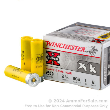 250 Rounds of 1 ounce #8 shot 20ga Ammo by Winchester