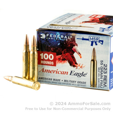 500 Rounds of 55gr FMJ .223 Ammo by Federal American Eagle Value Pack