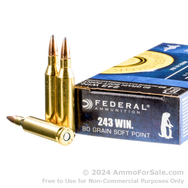 200 Rounds of 80gr SP .243 Win Ammo by Federal