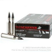 20 Rounds of 55gr Polymer Tipped .243 Win Ammo by Winchester