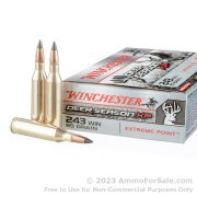 20 Rounds of 95gr Polymer Tipped .243 Win Ammo by Winchester Deer Season XP