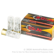 10 Rounds of 00 Buck 12ga Ammo by Fiocchi