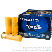 250 Rounds of 7/8 ounce #7 1/2 shot 20ga Ammo by Federal