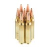 Image of 1000 Rounds of 69gr HPBT Match .223 Ammo by Prvi Partizan