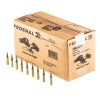 Image of 1000 Rounds of 62gr M855 FMJ 5.56x45 Ammo by Lake City