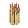Image of 20 Rounds of 58 Grain V-MAX .243 Win Ammo by Hornady Superformance Varmint
