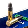 View of CCI .22 LR ammo rounds