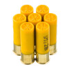 View of Aguila 20ga ammo rounds