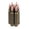 Image of 20 Rounds of 55gr HP .223 Ammo by Brown Bear