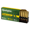 View of Remington 30-06 Springfield ammo rounds