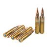 View of Federal 5.56x45 ammo rounds